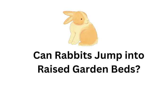 Can Rabbits Jump into Raised Garden Beds A Comprehensive Guide